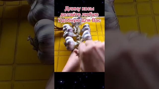 Как сохранить чеснок на зиму! Красиво и Практично!!! смотреть онлайн