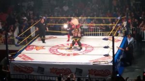 The Perro Aguayo Tragedy