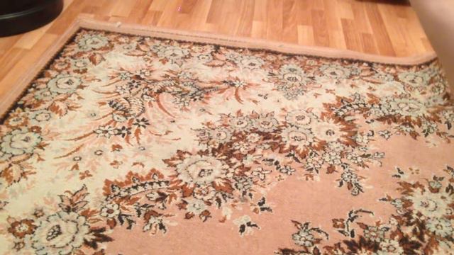 Кошка бегает за лазером) смотреть онлайн