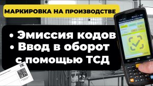 Работа с маркировкой на производстве c помощью ТСД