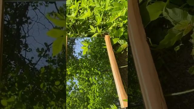 Зеркало с деревянной рамкой #кело #своимируками #изделияиздерева