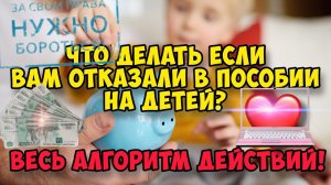Что делать если Вам отказали в получении пособия на детей Основания для отказа. Алгоритм действий.