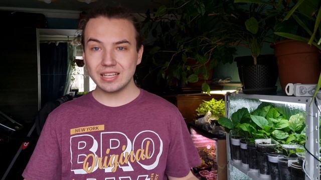 Будни огородника | рассада 2023 | дачники поймут | петуния из семян своими руками