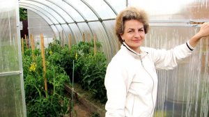 НА ЗАМЕТКУ!!! ЧЕМ ПОДКОРМИТЬ РАСТЕНИЯ В ИЮНЕ В ТЕПЛИЦЕ ДЛЯ БОЛЬШОГО УРОЖАЯ/Садовый мир рекомендует