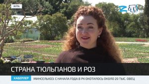 В Крым спустя 20 лет вернулась утраченная «Роза Новичкова»