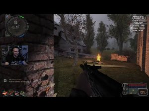 Пушистые проблемы