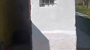 Купить недорогую дачу в Сочи|Продажа дачи с фруктовым садом у моря|Солнечный центр|88003029550