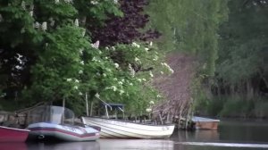 Canon Legria HFS 20 HFS 200 Test Video