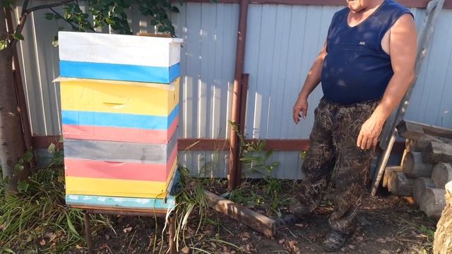 Перестановка пчел на дачном участке смотреть онлайн