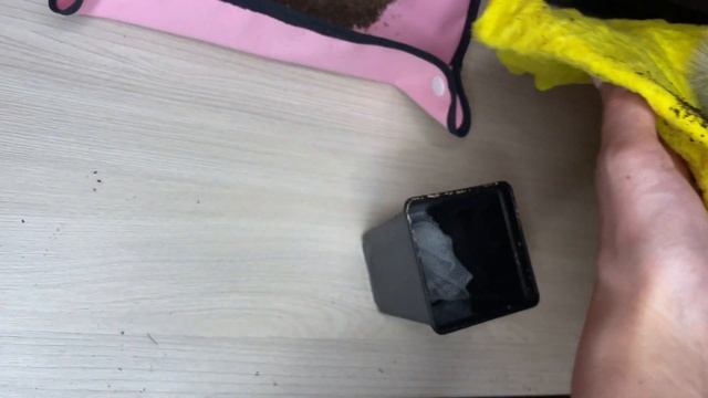 Пересаживаем Снежный Кактус Часть 1 // Replanting Cactus From Five // Маммиллярия из "Пятерочки" смотреть онлайн