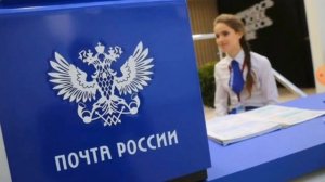 зебра в клеточку Rytp 1 пуп