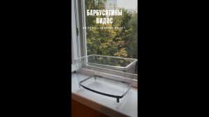 Как я разводил суматранских барбусов или "Что наша жизнь? Еда!".