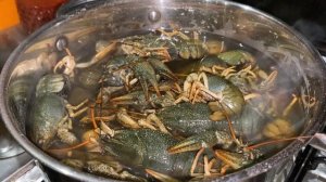 РАКИ! Как правильно нужно варить раков