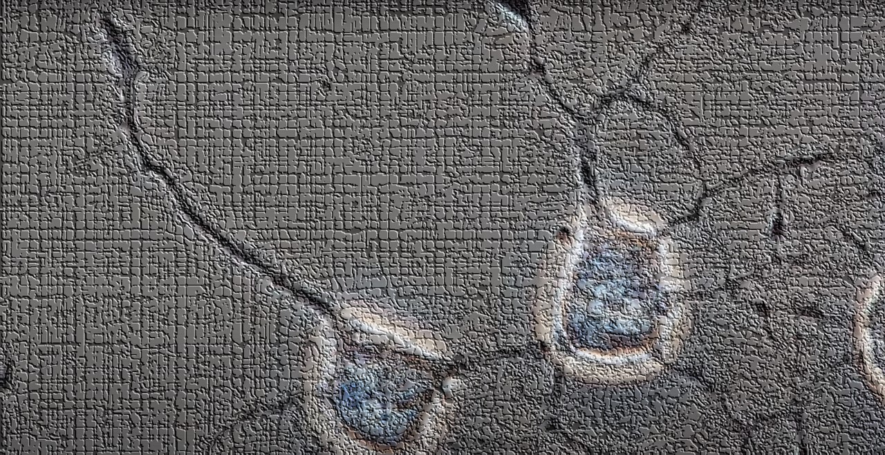 Как общаются нейроны в голове человека? смотреть онлайн