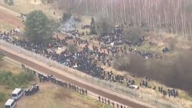 Мигранты на беларусско-польской границе. Съемка с дрона смотреть онлайн