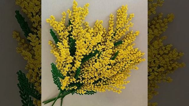 Веточка мимозы