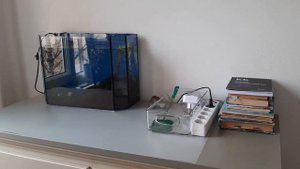 Запуск нано-аквариума 20 литров