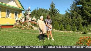 Деревенский ландшафт