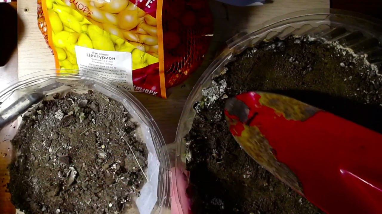 Как посадить Лук севок Центурион от Лукоморье смотреть онлайн