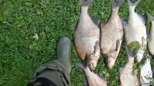 Рыбалка на озере Акатовское.