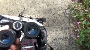 Comparison Svbony SV47 8x42  vs Svbony SV202 8x42