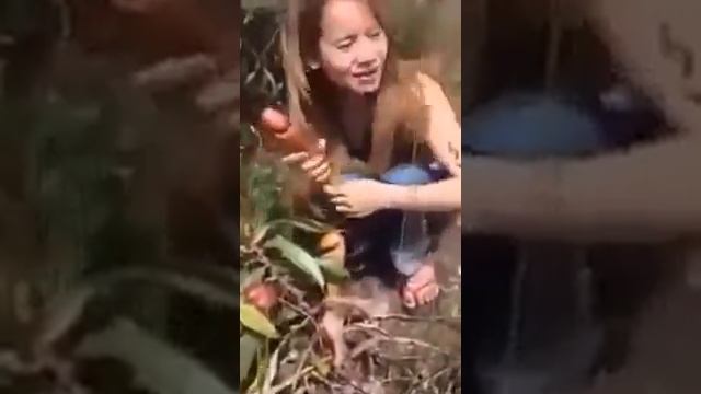 Цветок-который женщинам дарить не стоит: смотреть онлайн