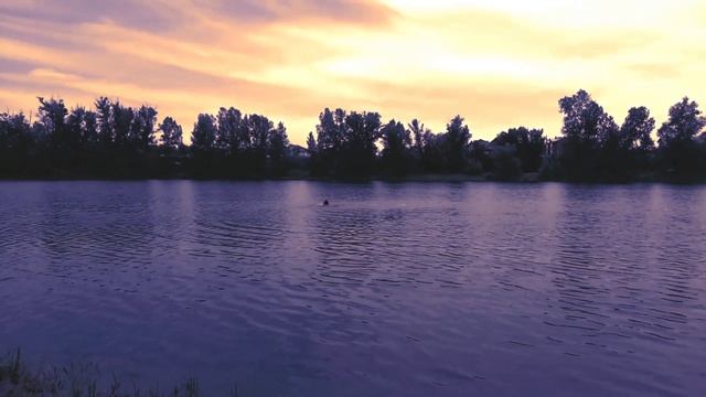 Вечернее закаливание.Моржевание.На улице +8 градусов. смотреть онлайн