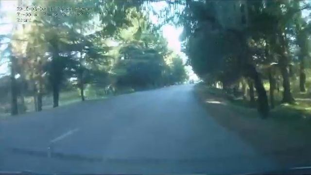 Дорога Гагра-Пицунда. Абхазия. смотреть онлайн