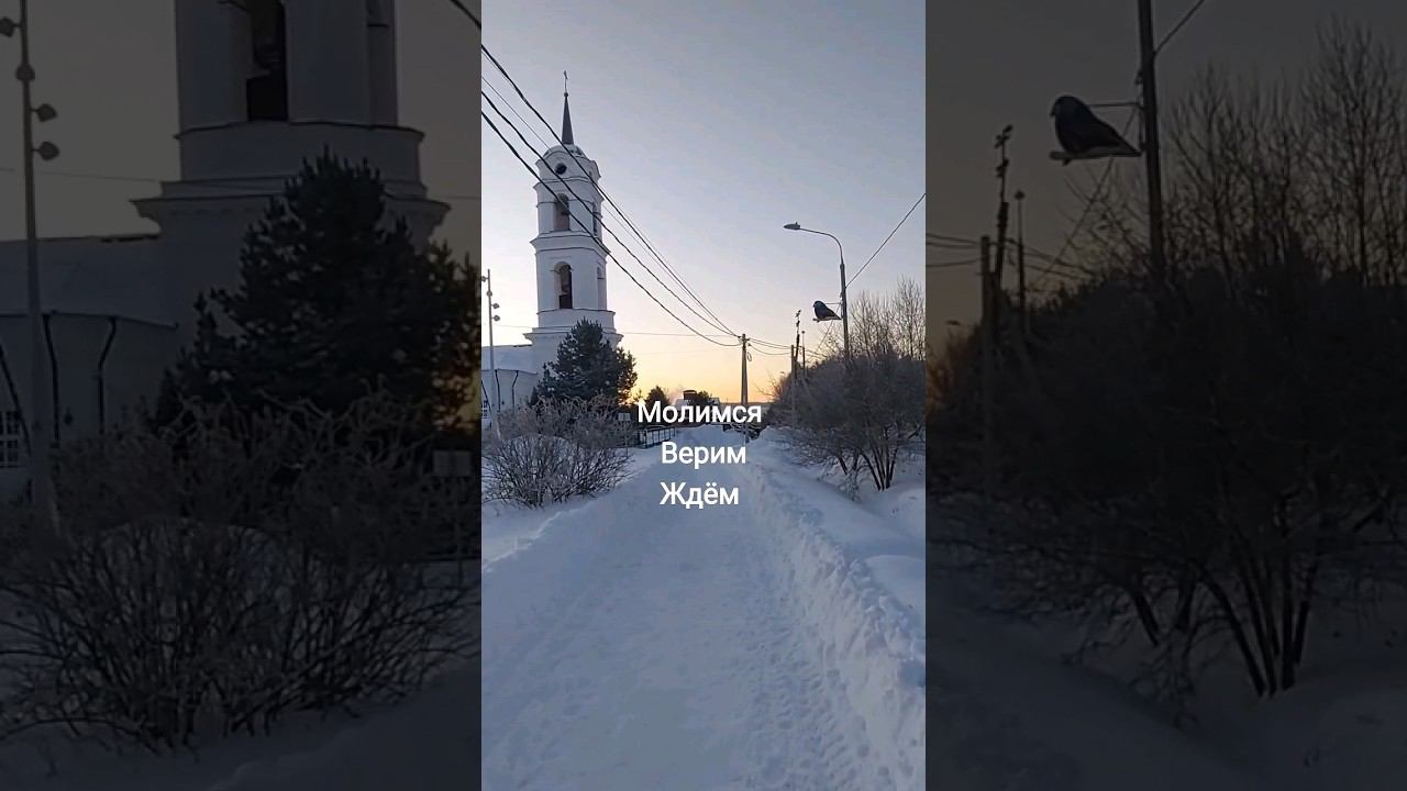 За Россию #love #авторпесен #светланаклимовабабичева #shorts