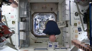 Living in Space: An Astronaut's Perspective