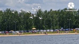 Лети пташка