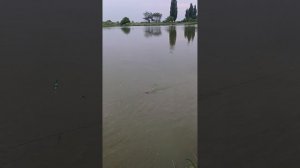 рыбалка в Ингушетии 0.06.