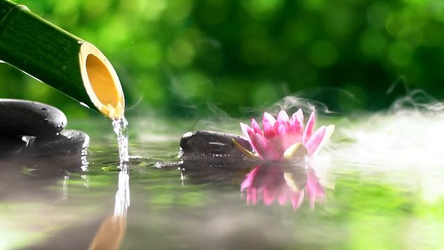 Música Relajante Agua ● Alivio Del Estrés, Calma La Mente, Sueño Profundo, Despierta Feliz