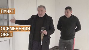 Как устроен пункт искусственного осеменения. Селекционно-генетический центр ООО Волгоград-Эдильбай