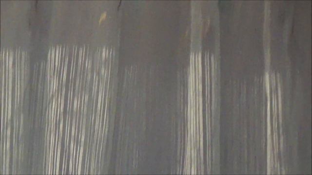 ГОРДАЯ ПТИЦА И НЕЗАВИСИМЫЙ МУЖЧИНА//ЖИВОТНЫЕ смотреть онлайн