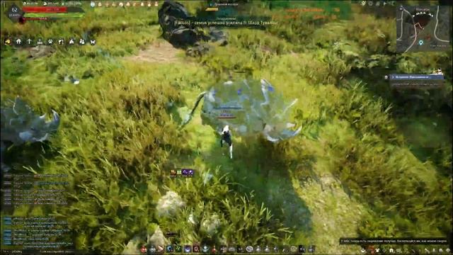 Прокачка Охоты для новичков. Фарм серебра Black Desert 2022. Лучница. смотреть онлайн