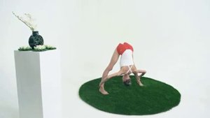 Прасарита падоттанасана