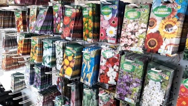 Покупка семян цветов в Кракове. Садим-сеем. Мой опыт. смотреть онлайн