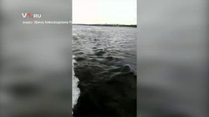 Последнее видео пассажиров катамарана "Елань-12"