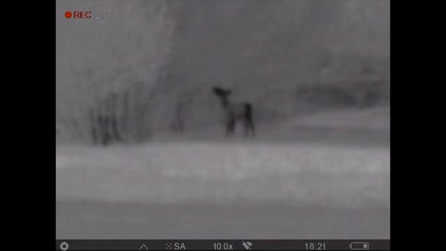 Pulsar Helion 2 XP50 Video смотреть онлайн