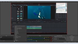 Как запустить прямой эфир на YouTube из нескольких источников с помощью OBS Studio