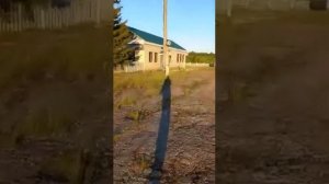 Вымирающий Посёлок Вежайка Республика Коми