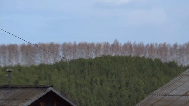 МОТОБЛОК, МБ-75 что за дичь такое. ВИДЕО ИЗ ПРОШЛОГО