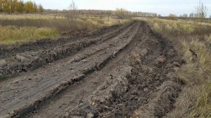 Сажаем медонос мордовник.