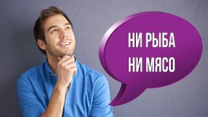 Как сказать по-английски "ни рыба ни мясо"