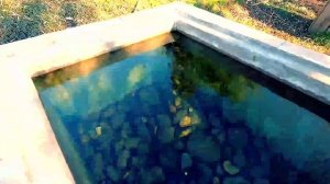 Парк Южные культуры — один из самых больших и старых парков. Находится он в Адлере,ближе к Имеретик