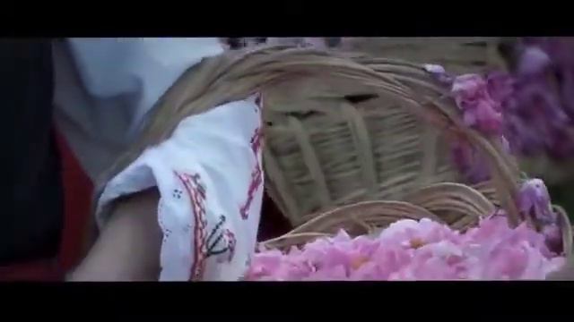 Rosa Damascena Hydrosols 花水 純露 精露 смотреть онлайн