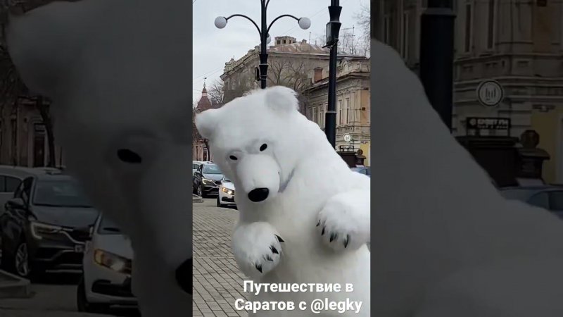 Медведи на улицах пляшут