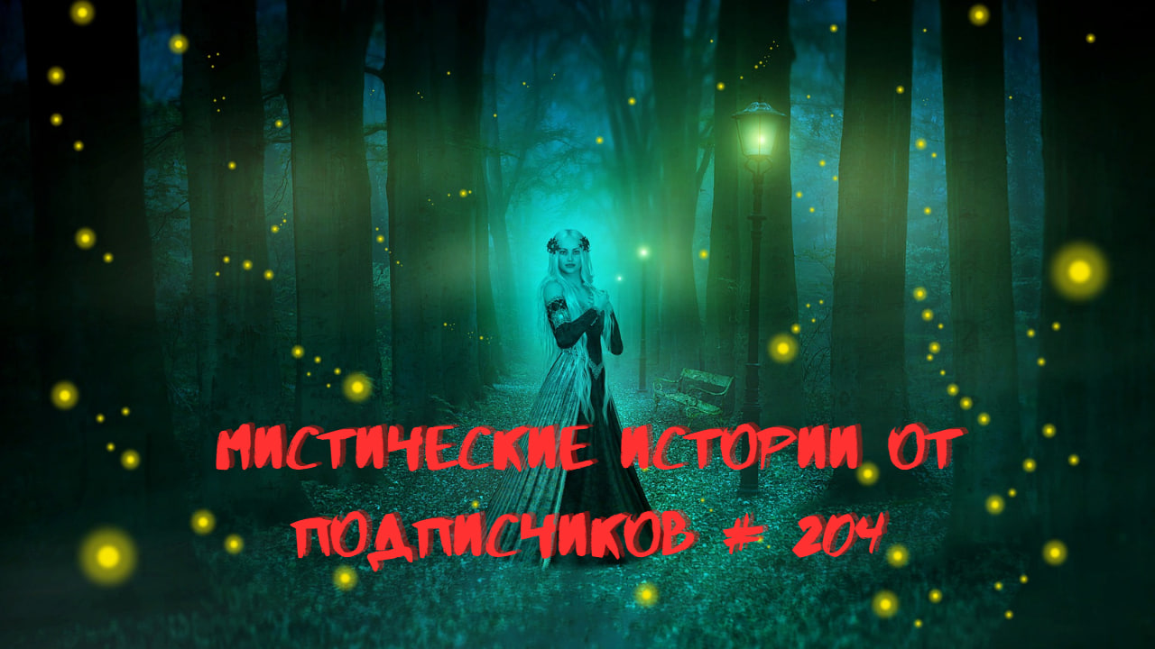 мистические истории часть 203