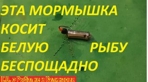 НОВИНКА 2023,СУПЕР СЕКРЕТНАЯ  МОРМЫШКА КОТОРАЯ КОСИТ ПЛОТВУ И ДРУГУЮ БЕЛУЮ РЫБУ БЕСПОЩАДНО